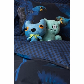 Blue_Parrot_1persoons_rgb-4230