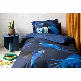 Blue_Parrot_1persoons_rgb-4237