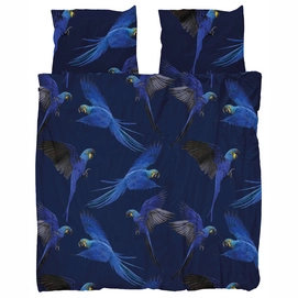 Blue_Parrot_56