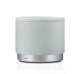Opbergdoos Blomus Ara RVS Groen