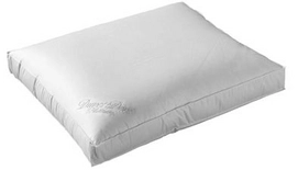 Oreiller Duvet Dore Ducky Dons Platine 100% Duvet d'Oie 60 x 60 cm