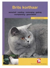 Kattenboek De Britse Korthaar Over Dieren