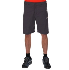 Bermuda Regatta Fellwalk Shorts II Seal Grey