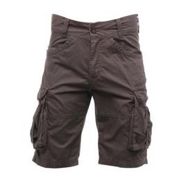 Korte broek Regatta Shoreway Shorts Iron