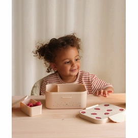 BROODTROMMEL-Broodtrommels-KS5240-LADYBUG-3