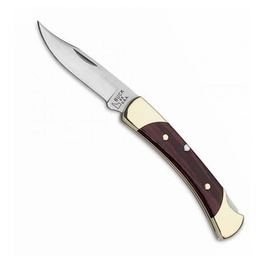 Folding Knife Buck 110 Folding Hunter + Leather Case