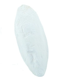 Voedingssupplement Nobby Sepia Schalen Bulk 18 cm