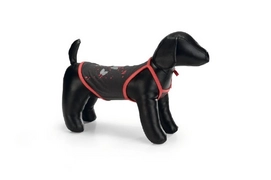 Honden T-Shirt Beeztees Butterfly Grijs