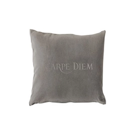 Sierkussen Aquanova Carpe Diem Zilvergrijs (45 x 45 cm)