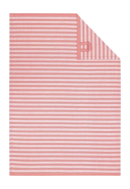 Torchon de Cuisine Cawö Campus Red (50 x 70 cm)