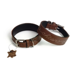 Halsband Beeztees Chien Bruin