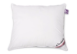 Hoofdkussen Original Cinderella Classic