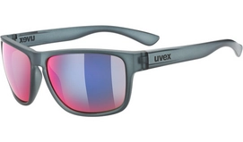 Zonnebril Uvex LGL 36 Colorvision Grey