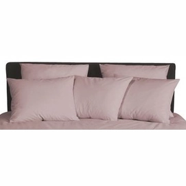 Kissenbezüge Damai Mauve Renforcé (2 Stück)