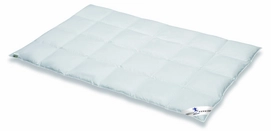 Spessarttraum Decke Premium Class Silber