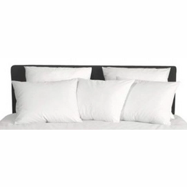 Kissenbezüge Damai Weiß Mako-Satin (2 Stück)