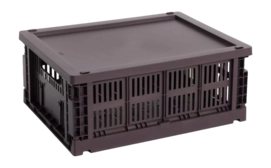 hay-colour-crate-lid-plastic-medium-bordeaux-82326