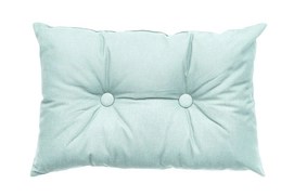 Sierkussen Essenza Dex Pastel Mint Canvas