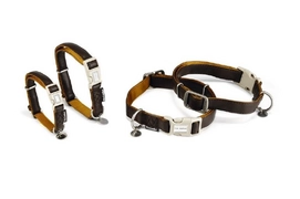 Hondenhalsband Beeztees Mac Leather Soft Touch Bruin