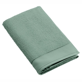 Guest Towel Weseta Douceur Seagrass (2 pc)