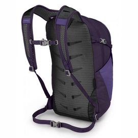 dream purple 2