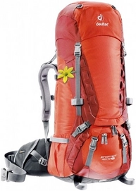 Backpack deuter Aircontact 40 + 10 SL Papaya Lava
