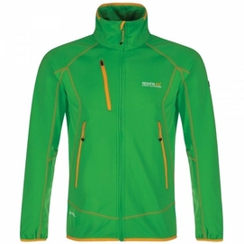 Jacke Regatta Sumatra Hybrid Softshell Fairway Grün Herren