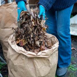 ecoLiving-garden-waste-bags-paper-uk[2]