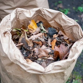 ecoLiving-garden-waste-bags-paper-uk[3]