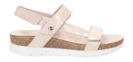 Enkellaars Panama Jack Women Felina B27 Velour Marron / Brown