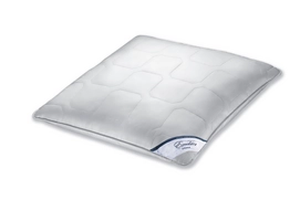 Spessarttraum Excelsior Kissen Fest (80x80cm)