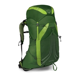 Sac à dos Osprey Exos 48 Tunnel Green (Large)