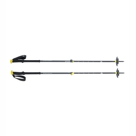Ski Poles Black Diamond Expedition 2 2015