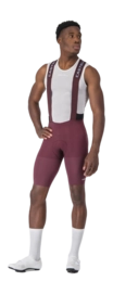 Fietsbroek Castelli Men Premio Evo Bibshort Deep Bordeaux/Winter Sky