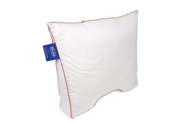 Oreiller Silvana Flexiform 60 x 60 cm