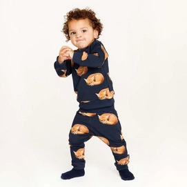 foxbaby2