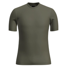 Maillot de Corps Icebreaker Homme 175 Everyday SS Crewe Loden