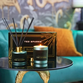 3---ted-sparks-candle-diffuser-gift-set-moss-sandalwoo (2)