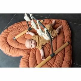 gymtoysfs_product_amb_3_1680209281