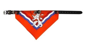 Halsband Oranje Met Zakdoek
