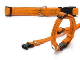 Hondenhalsband Beeztees Aventura Oranje