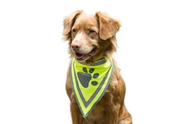 Veiligheid Halsdoek Safety Gear Reflecterend