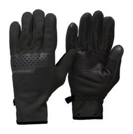 Handschoen Black Diamond Unisex Alpine Fleece Gloves Black 90 g