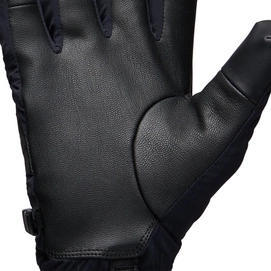 2---801743_0002_Alpine_Softshell_Gloves_Black_02