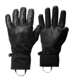 Handschoen Black Diamond Unisex Tour Gloves Black