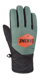 Handschoen Dakine Dames en heren Crossfire Glove Dark Forest DWR