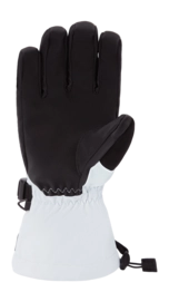 3---WOMENSSEQUOIAGORETEXGLOVES-ANCIENTWATER-194626592183_10004304_ANCNTWATER-62M_BACK-_no-bg