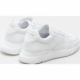 hedley-triangle-0700-wht_achter