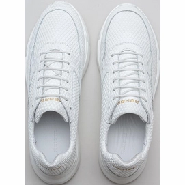 hedley-triangle-0700-wht_top