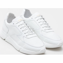 hedley-triangle-0700-wht_voor